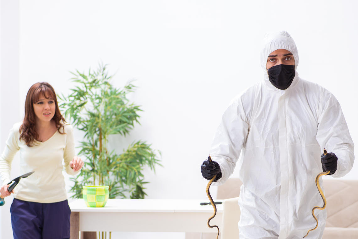 apentomoseis-thessaloniki|pest-is-over